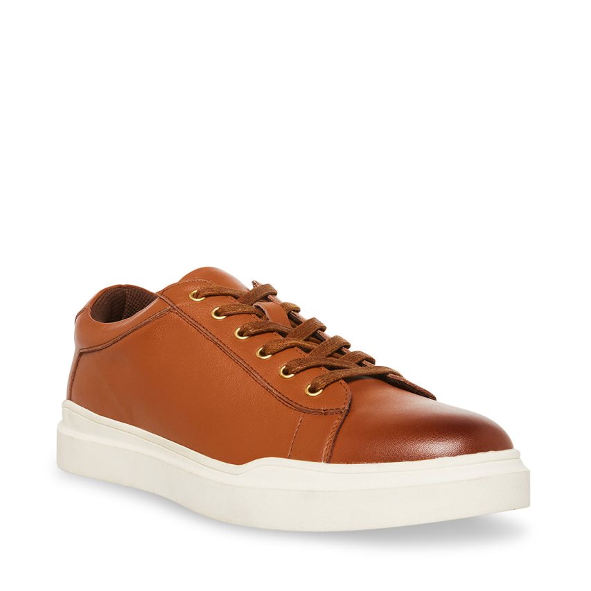 Brown Steve Madden Tilton Leather Men's Sneakers | PH 1279ENK